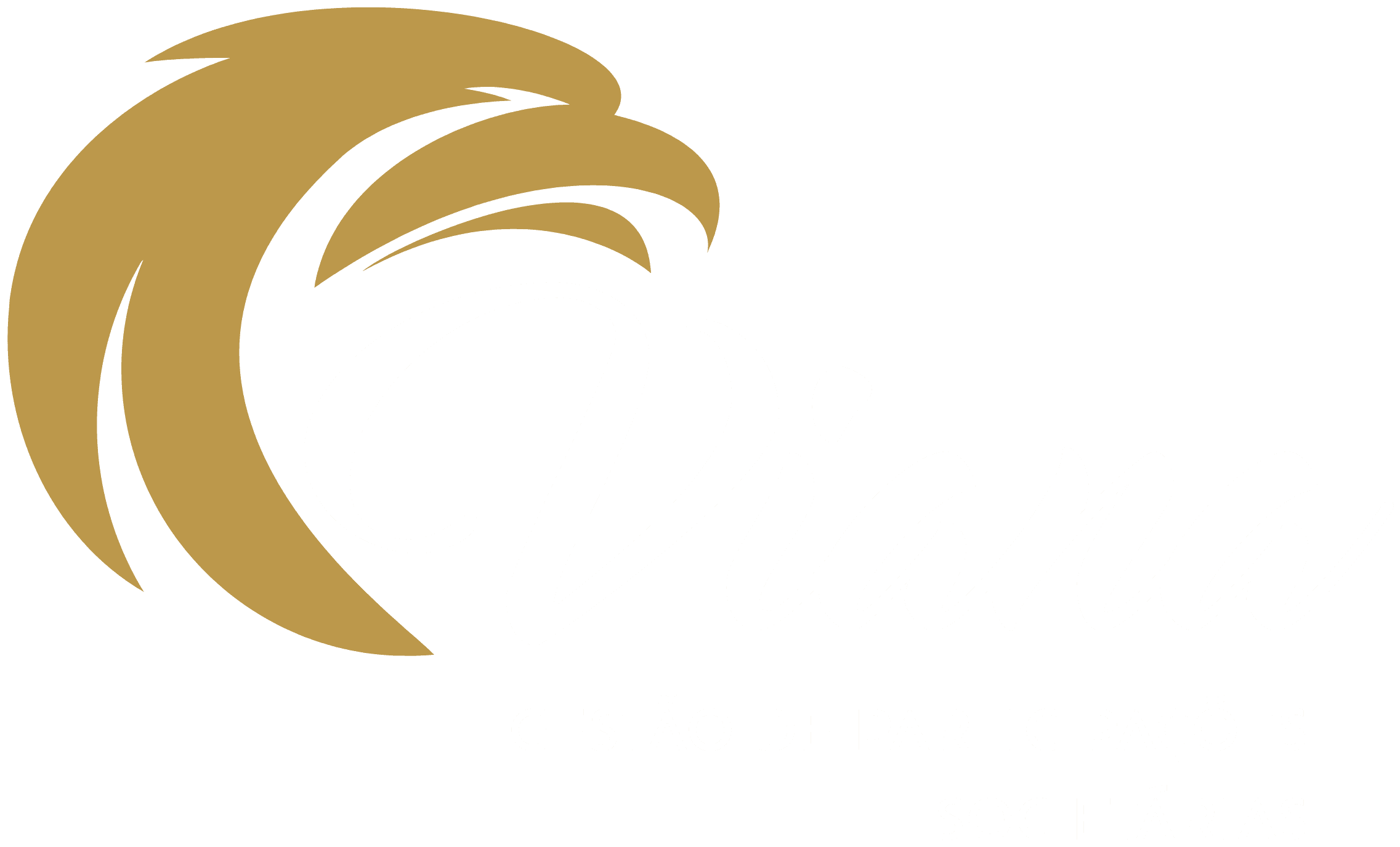 Viana Gestão de Participações Societárias